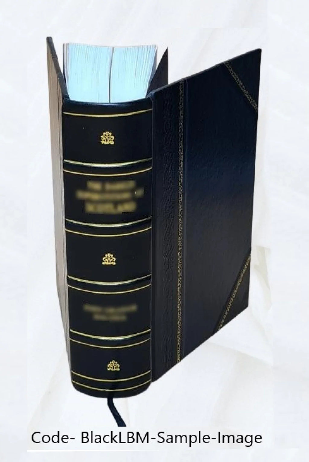 1721 [Leather Bound]. Hoffmanni. De claris Legum Interpretibus cura D.G