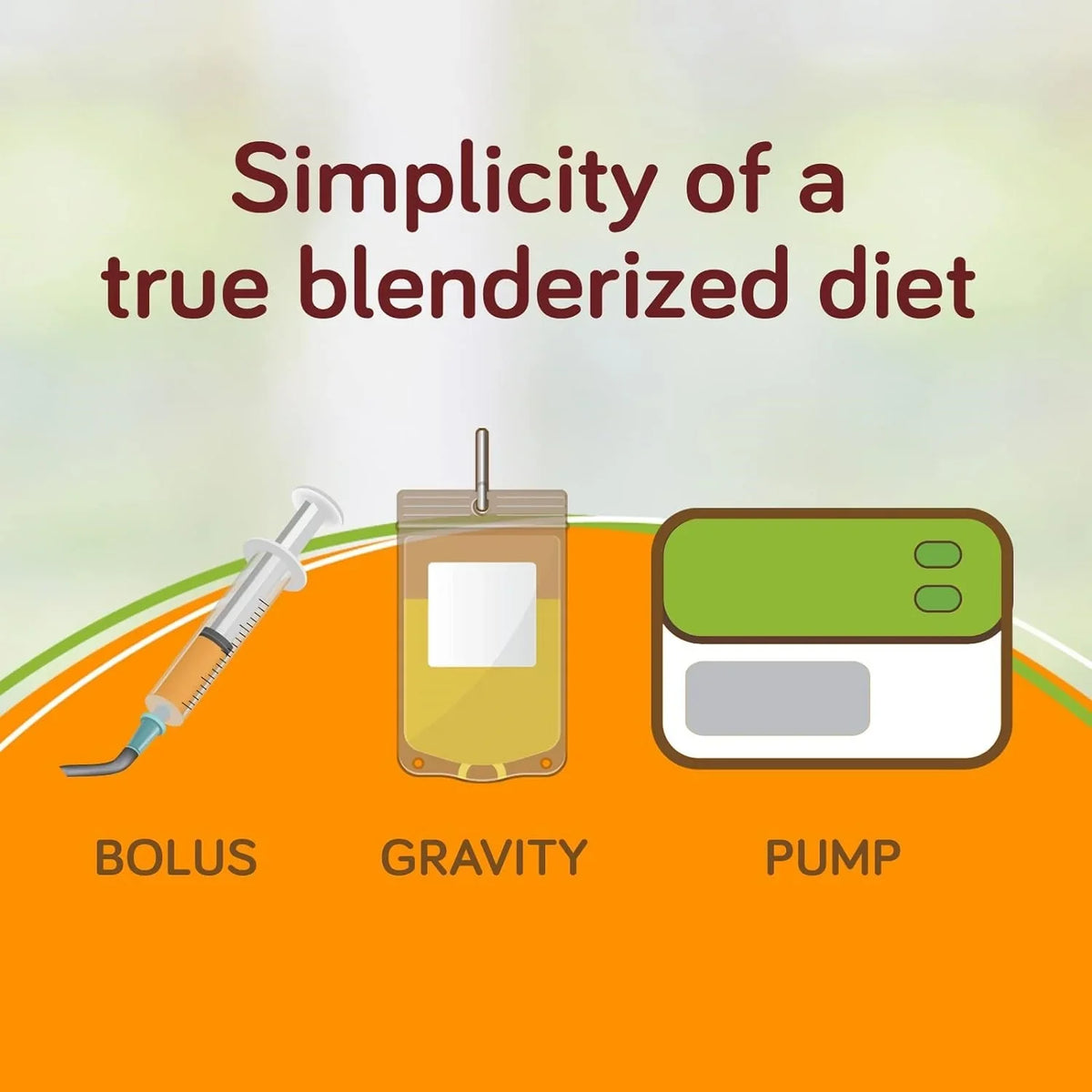 Real Food Blends - Beef, Potatoes & Spinach - Meals for Tube Fed People - 9.4 Oz Pouch (Pack of 12)
