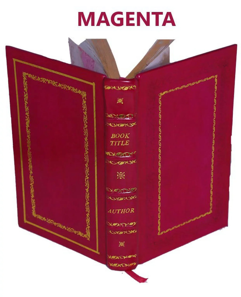 The helmet of Mambrino 1904 [Premium Leather Bound]. Clarence King memoirs