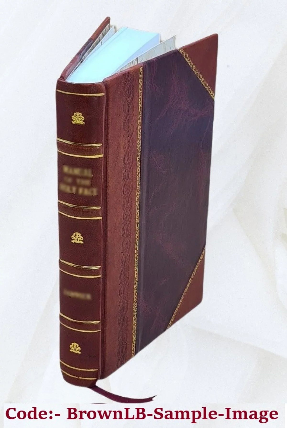 Orion; historisk-geographisk maanedskrift Volume 1 1839 [Leather Bound]