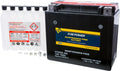 Fire Power Maintenance Free Battery CTX20L-BS appropriate With Kawasaki Ultra 310X (JT1500-L) 2015-2016