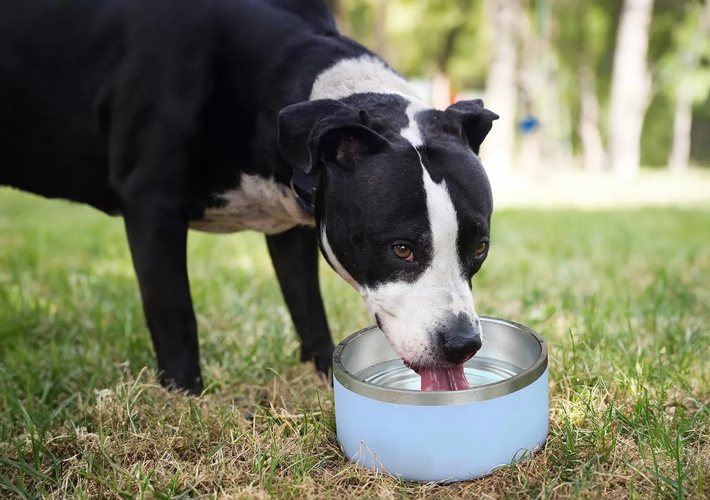 ALPINE Set of 2 Stainless Steel Dog Bowls, Non Slip, Metal Pet Bowl for Food and aqua, Double Walled Insulated, Rustproof, Dishwasher Safe (32 oz, Pink)