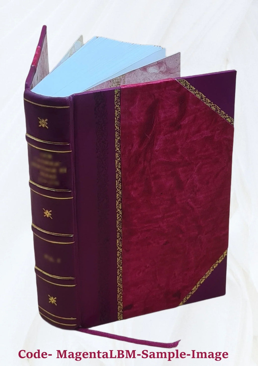 1721 [Leather Bound]. Hoffmanni. De claris Legum Interpretibus cura D.G