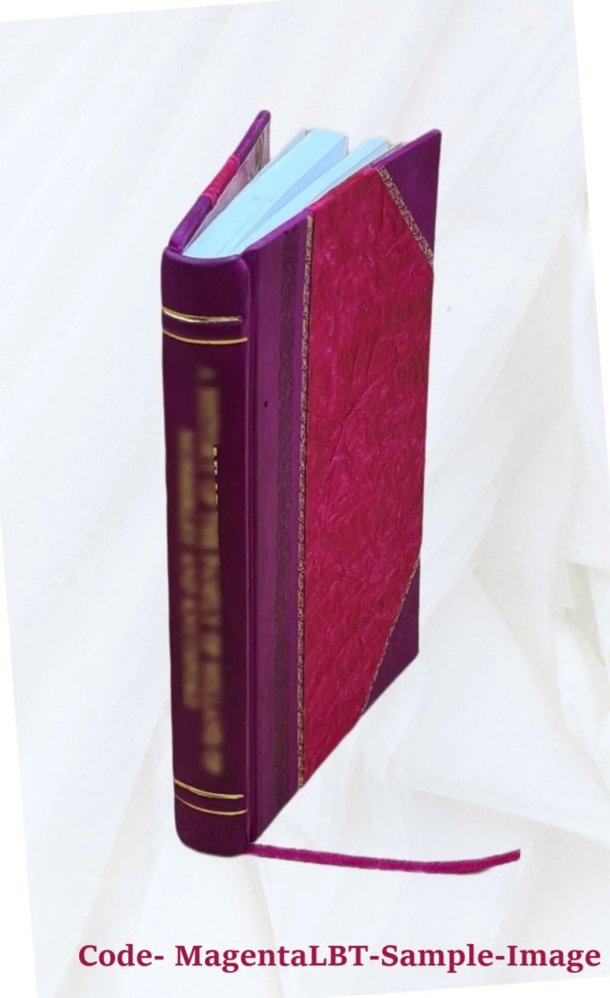 1909 [Leather B. Charter of the city of Ortonville, Minnesota : framed and adopted pursuant to chapter 351 of the general laws of Minnesota, 1899, and acts amendatory thereof and supplementary thereto
