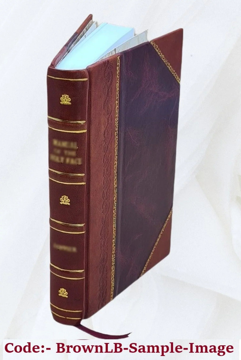 Poemata [Leather Bound]. 8. Barberini nunc Vrbani PP. card. Maphaei s.r.e