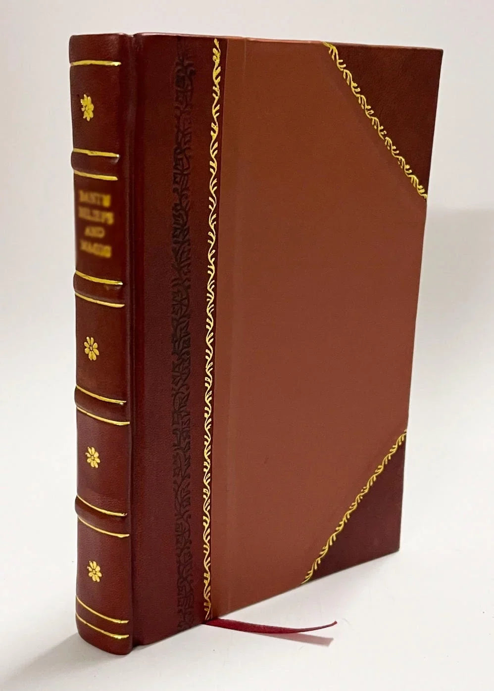(1706) [Leather Bound]. Corporis Humani Anatomia, in Qua Omnia Tam Veterum, Quam Recentiorum Anatomicorum Inventa Methodo Nova, & Intellectu Facillima Describuntur, Ac Tabulis Neis Reprsentantur