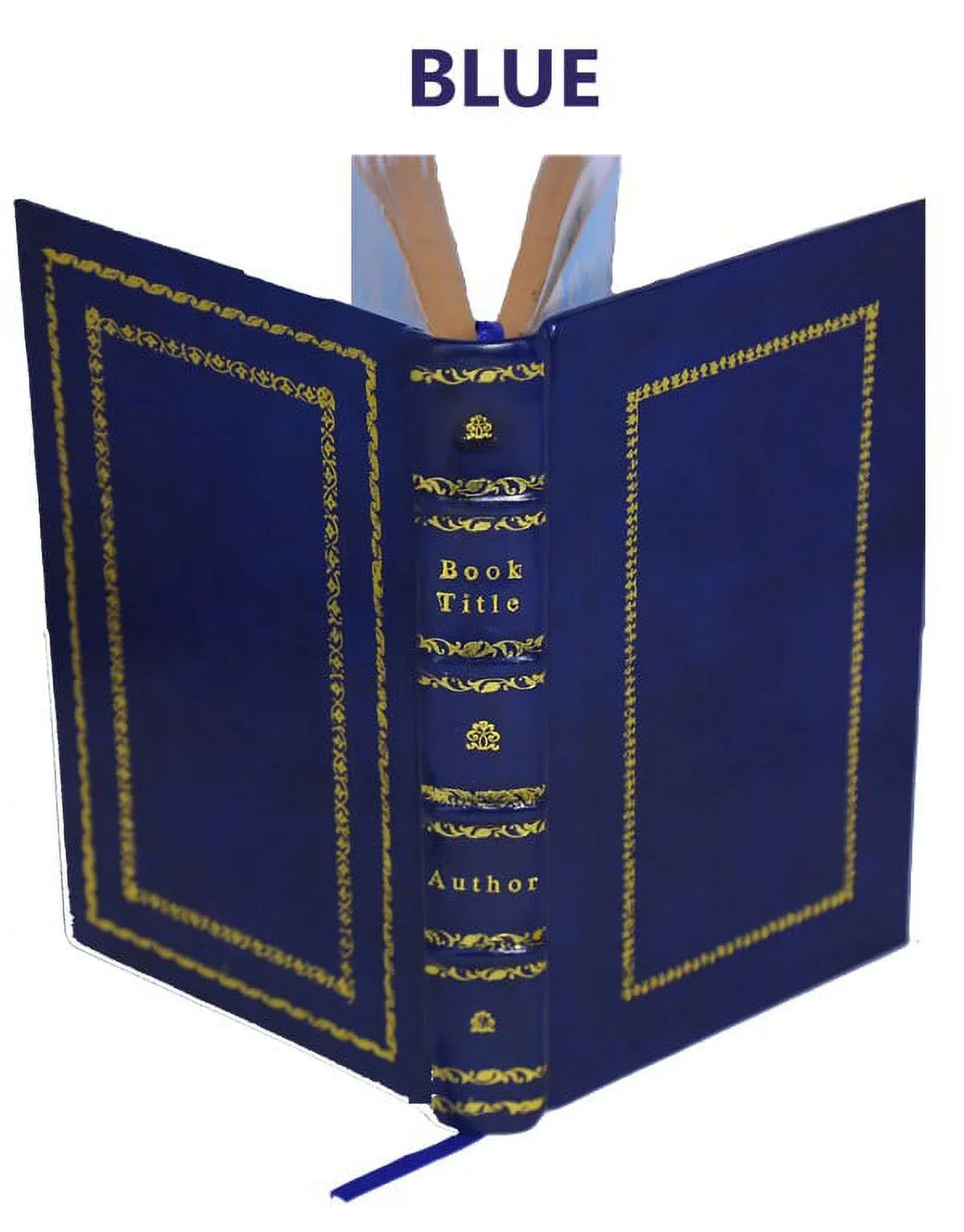 The helmet of Mambrino 1904 [Premium Leather Bound]. Clarence King memoirs